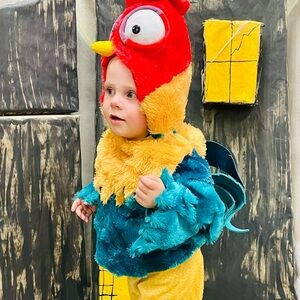 Disney Hei Hei Rooster Kids Costume